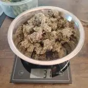 Godfeather OG F1 #1