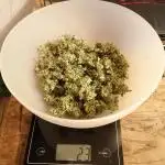 White Truffle Outdoor 2025