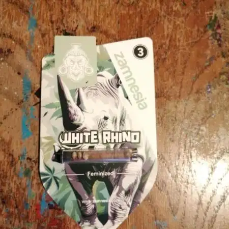 White Rhino From Zamnesia zweite Runde