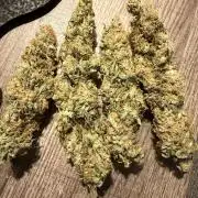 Fast Deisel from izi.farm