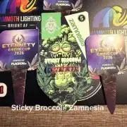 Sticky Braccoli Auto - Eternity Cup 2026