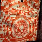 Hash Burger-Seedsupreme.com