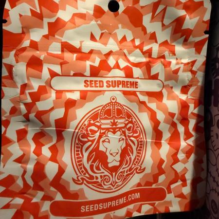 Hash Burger-Seedsupreme.com