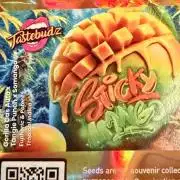 Sticky Mango Auto - Tastebudz Genetics