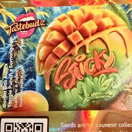 Sticky Mango Auto - Tastebudz Genetics