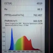 Sticky Mango Auto - Tastebudz Genetics