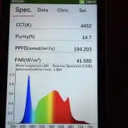 Sticky Mango Auto - Tastebudz Genetics