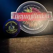 Spearmint Rhino-Exotic Genetix