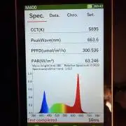 Jixer-Exotic Genetix