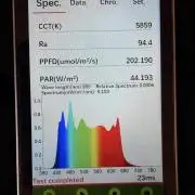 Sticky Braccoli Auto - Zamnesia Seeds