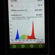 Jixer-Exotic Genetix