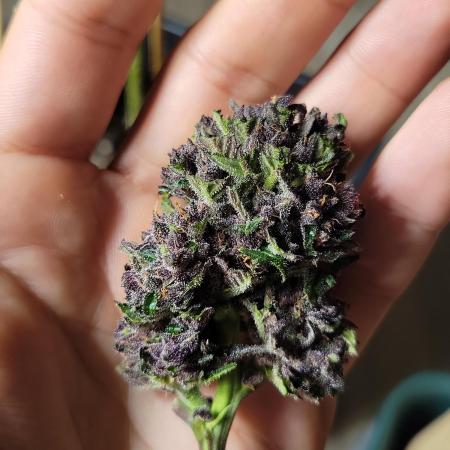 Outdoor 2026 Fastbuds