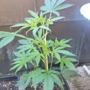 Outdoor 2026 Fastbuds