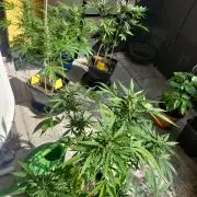 Outdoor 2026 Fastbuds