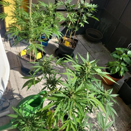Outdoor 2026 Fastbuds