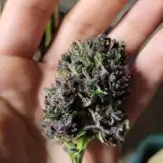 Outdoor 2026 Fastbuds