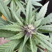 Outdoor 2026 Fastbuds