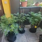 Outdoor 2026 Fastbuds