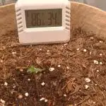 Special Kush ( Trying New Techniques )