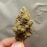 Lemy85_2