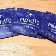 Mephisto O’z³