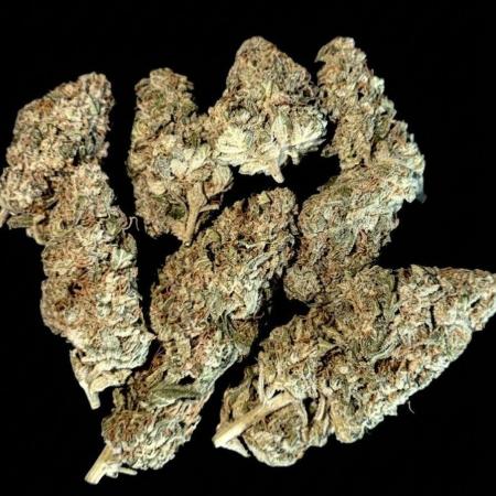 ｆｒｏｓｔｅｄｇｕａｖａ ❄️   | by Green House Seeds