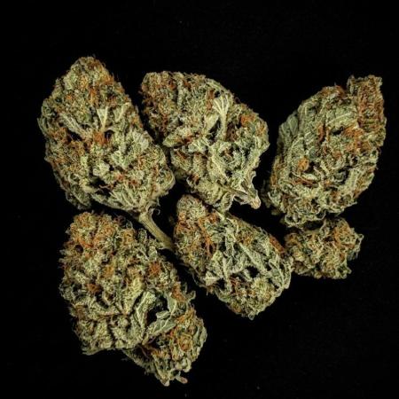 Runtz🍬 ZA Seed's