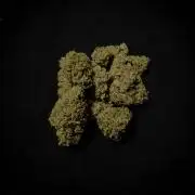 Watermelon Zkittlez Auto BF