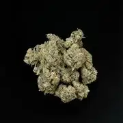 ᗷIᔕᑕOTTI ᙭ GEᒪᗩTO by GreenHouseSeeds