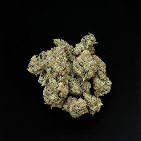 ᗷIᔕᑕOTTI ᙭ GEᒪᗩTO by GreenHouseSeeds
