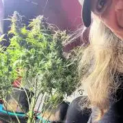 Carvajet 4th grow of Autoflowers