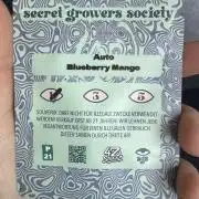 Solo cup Blueberry Mango 420StrainZ