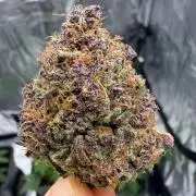 Banana Purple Punch from FastBuds