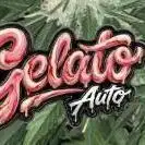 Gelato Auto FastBuds
