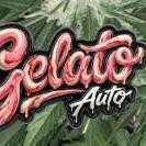 Gelato Auto FastBuds