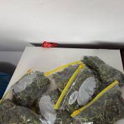 Afghani