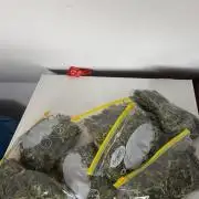 Afghani