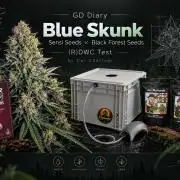 BLSK Gen5 RDWC
