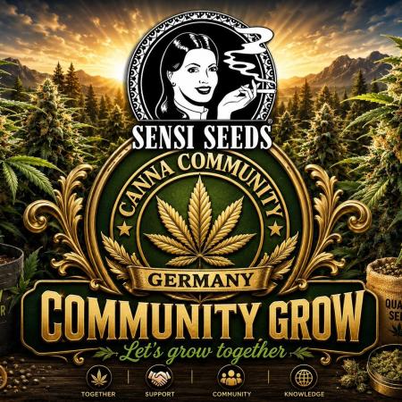 Dr.SkunkyKush: STOR
