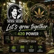 Dr.SkunkyKush: SLEC #4