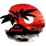 Bonzai #2 - White I.C.E. #1 Gen5