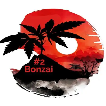 Bonzai #2 - White I.C.E. #1 Gen5