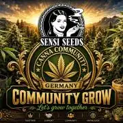 Dr.SkunkyKush: STOR