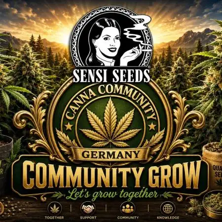 Dr.SkunkyKush: STOR