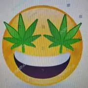 Hindu Kush fem. Test 2