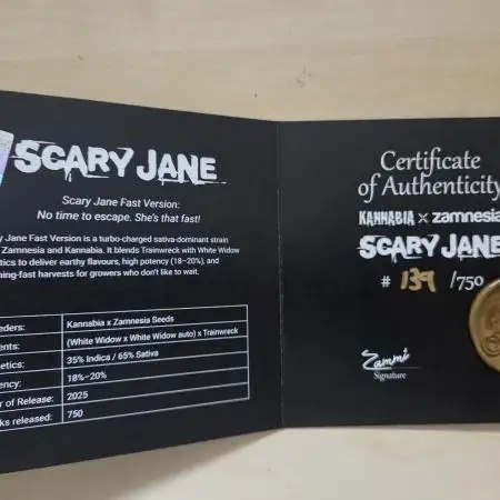 Scary Jane