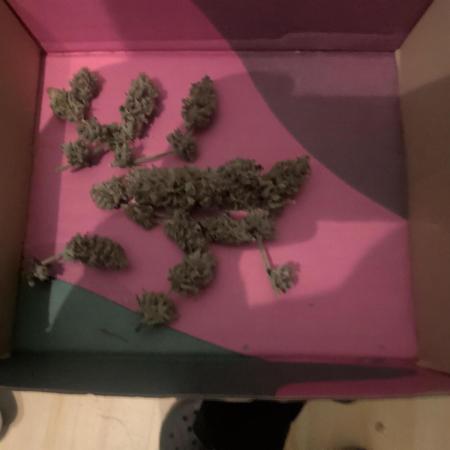 Pakistan Chitral Kush