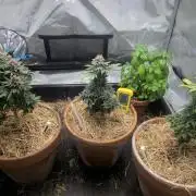 Pakistan Chitral Kush