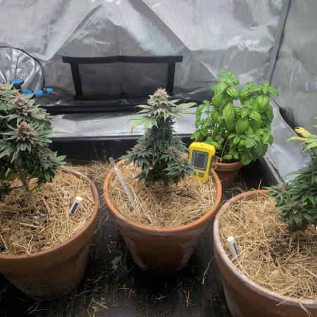 Pakistan Chitral Kush