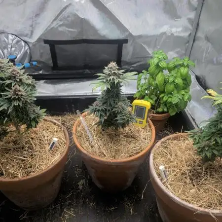 Pakistan Chitral Kush